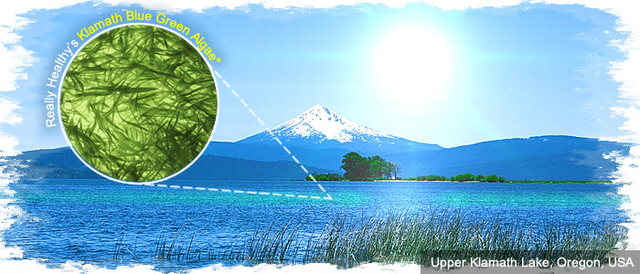 Upper Klamath Lake